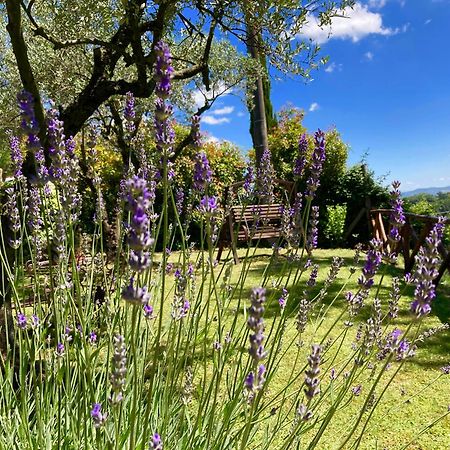 Grove Cottage: Immersed In Nature & Close To Town Città della Pieve Exteriér fotografie