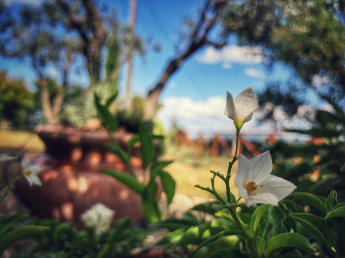 Grove Cottage: Immersed In Nature & Close To Town Città della Pieve Exteriér fotografie