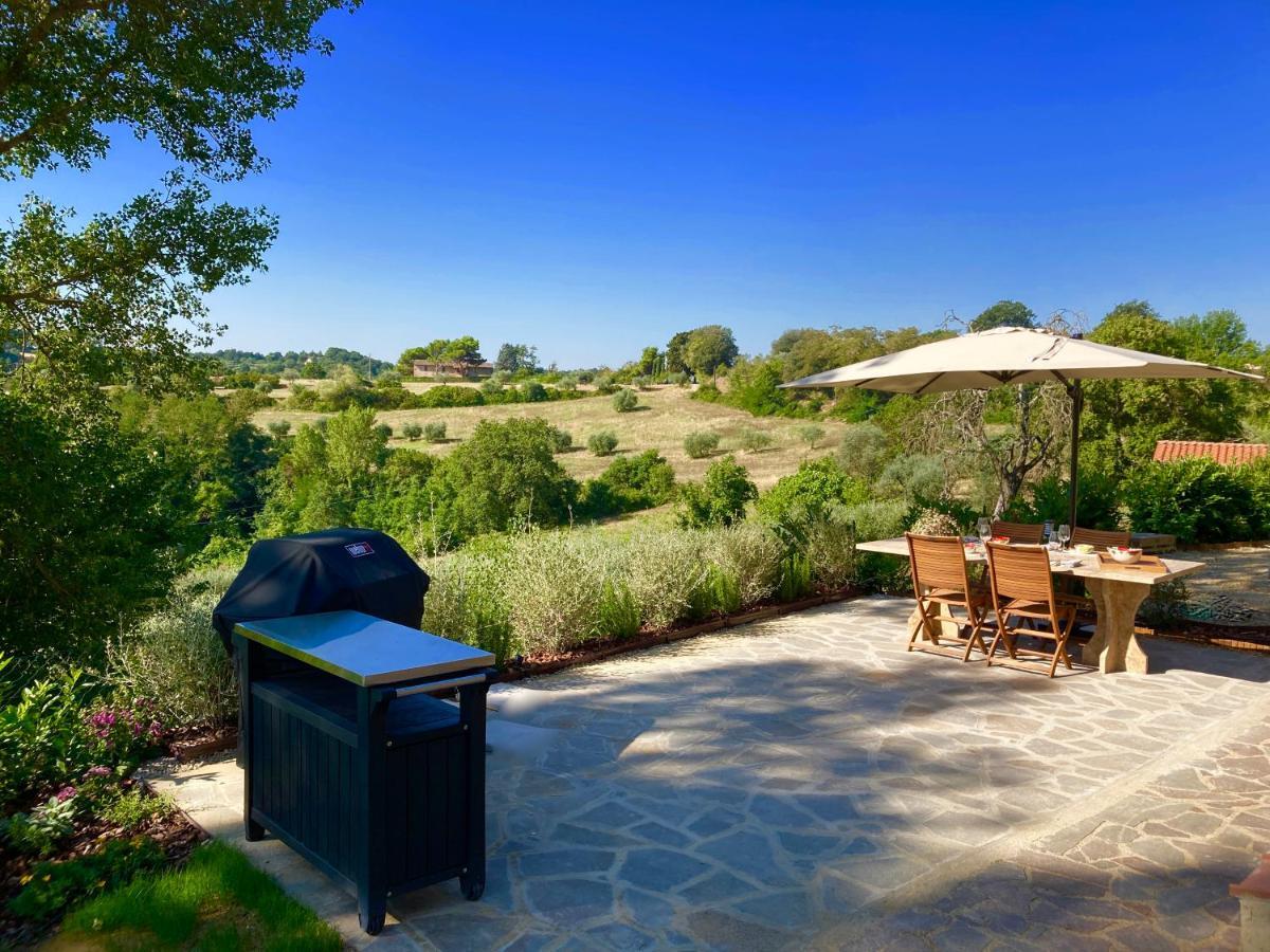 Grove Cottage: Immersed In Nature & Close To Town Città della Pieve Exteriér fotografie