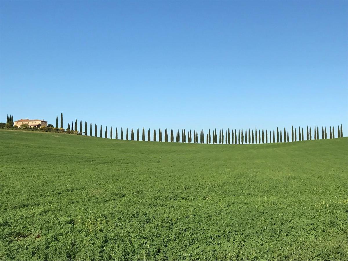Grove Cottage: Immersed In Nature & Close To Town Città della Pieve Exteriér fotografie