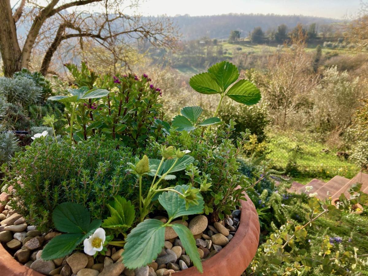 Grove Cottage: Immersed In Nature & Close To Town Città della Pieve Exteriér fotografie