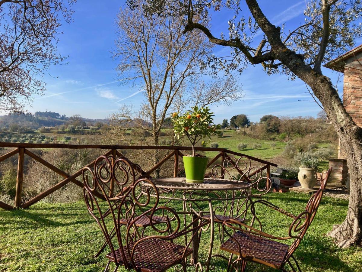 Grove Cottage: Immersed In Nature & Close To Town Città della Pieve Exteriér fotografie