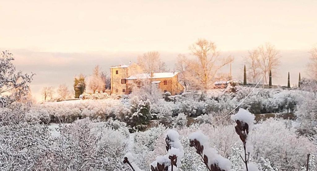 Grove Cottage: Immersed In Nature & Close To Town Città della Pieve Exteriér fotografie