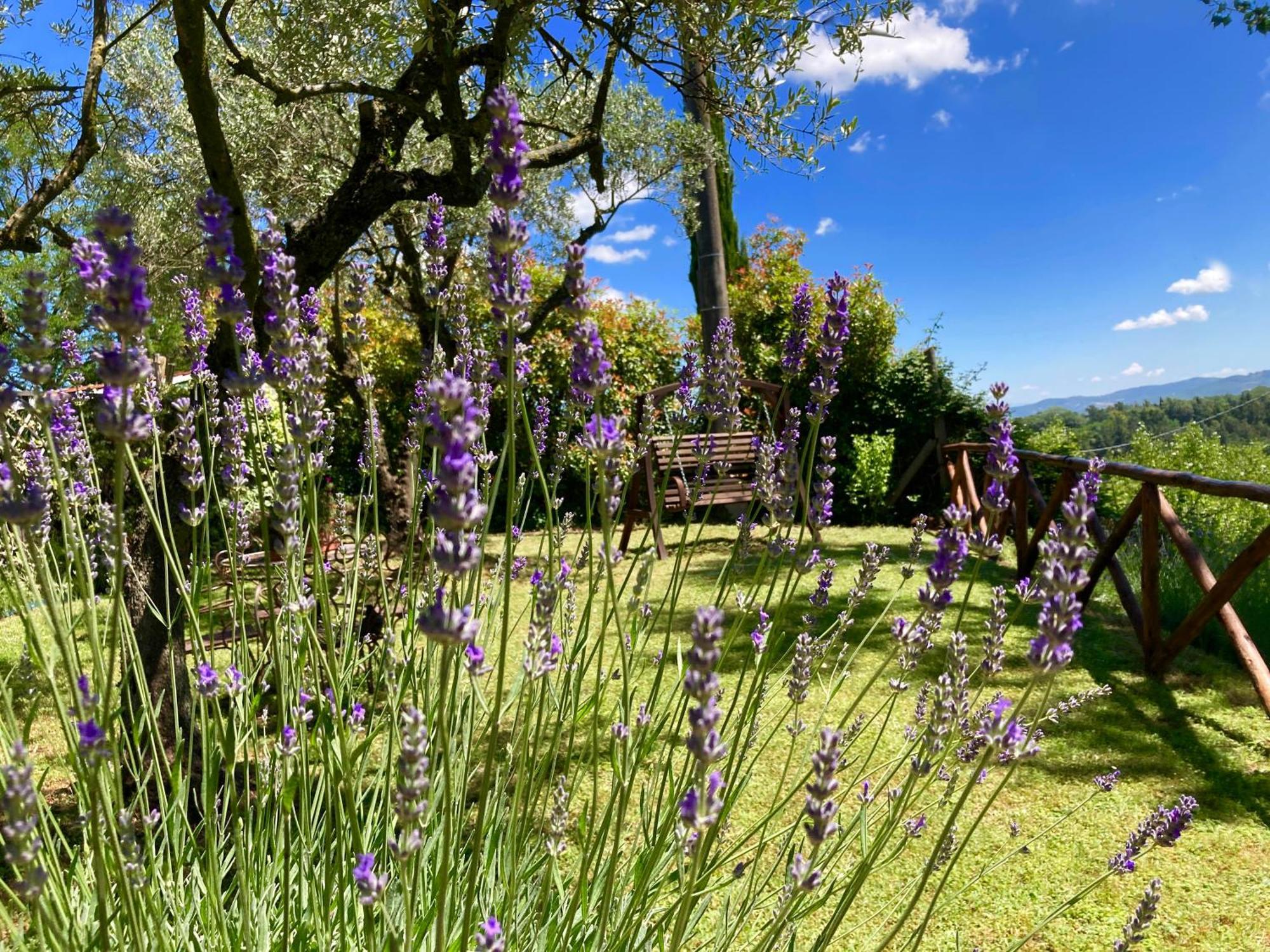 Grove Cottage: Immersed In Nature & Close To Town Città della Pieve Exteriér fotografie